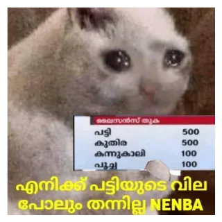 🥺 ലൈസൻസ് തുക
പട്ടി
500
കുതിര
500
കന്നുകാലി
100
لهوله
100
എനിക്ക് പട്ടിയുടെ വില
പോലും തന്നില്ല NENBA telegram sticker