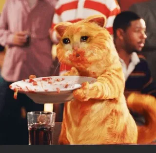 Sad cats @sticker_pack_channel — @stckrRobot whatsapp stickers