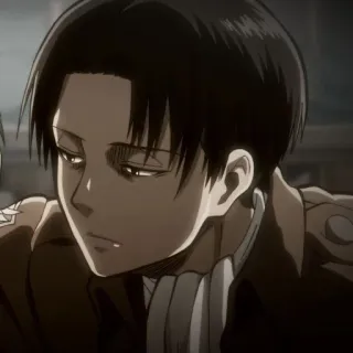 🌟 Levi Ackerman Attack on Titan anime, personaggio, militare, levi, l'attacco dei giganti telegram sticker