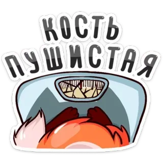 🦴 кость пушистая rubah, kartun, timbangan, teks Rusia, lucu, humor, hewan telegram sticker