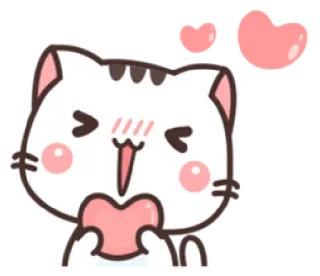 🥰 mèo, trái tim, tình yêu, dễ thương, hoạt hình whatsapp sticker