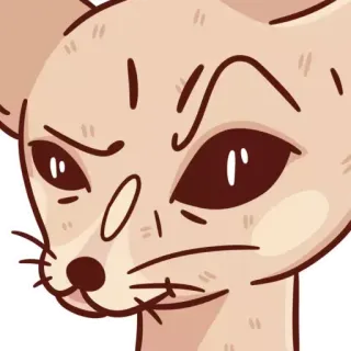 🤨 cat, meme, funny, animal, sticker telegram sticker