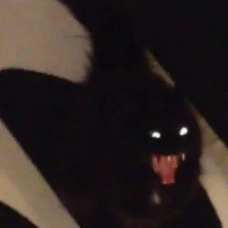 😾 猫, 黒猫, 動物, ペット telegram sticker