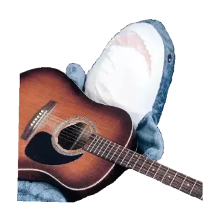 🎸 tubarão, guitarra, música, pelúcia, violão whatsapp sticker