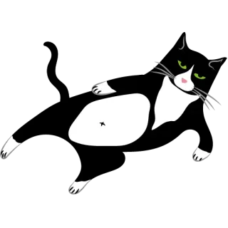 😉 Katze, Tuxedo Katze, liegend, Tier, Haustier, Hauskatze telegram sticker