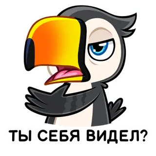 🖕 ТЫ СЕБЯ ВИДЕЛ? tucano, pássaro, russo, desenho animado, adesivo, engraçado, expressão telegram sticker