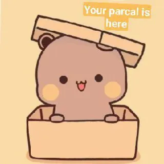 🎁 Your parcel is here bear, parcel, delivery, box, cute whatsapp sticker