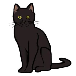 🐈‍⬛ Katze, schwarze Katze, Tier, Haustier, Katzenartig telegram sticker