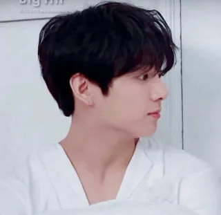 🕸 Big Hit person, celebrity, kpop, male, profile telegram sticker