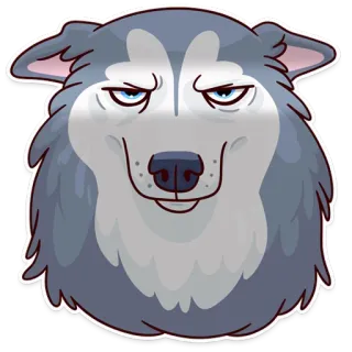 😠 husky, perro, animal, dibujo animado, pegatina, mascota, lindo, arrogante whatsapp sticker