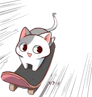 🐈 猫, 滑板, 可爱, 贴纸, 动物, 宠物 whatsapp sticker
