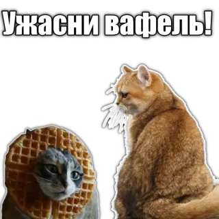 🧇 Ужасни вафель! cats, waffles, humor, funny, food, animals telegram sticker