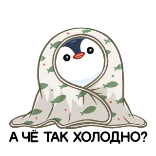 🥶 А ЧЁ ТАК ХОЛОДНО? pinguin, kalt, winter, decke, russisch, aufkleber, süß, tier telegram sticker