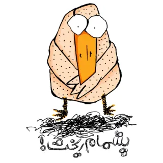 😳 chicken پشمام ریخت! chicken, shocked, surprised, amazed, funny, bird, cartoon, expression telegram sticker