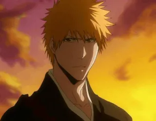 🙂 Ichigo Kurosaki Bleach anime, Bleach, Ichigo, Ichigo Kurosaki, Shinigami, Soul Reaper telegram sticker