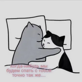 🧺 когда-нибудь мы будем спать с тобой точно так же.... koty, sen, miłość, kreskówka, łóżko telegram sticker