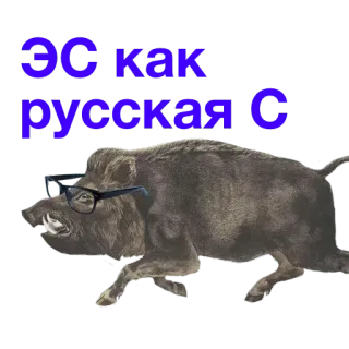 😣 Эс как русская С jabalí, gafas, animal, cirílico, ruso telegram sticker