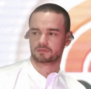 🌸 Liam Payne Liam Payne, One Direction, singer, celebrity, pop star telegram sticker