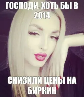 🌟 Господи, хоть бы в 2014 снизили цены на биркин มีม, รัสเซีย, ข้อความ, ผมบลอนด์, ผู้หญิง, เบอร์กิ้น telegram sticker