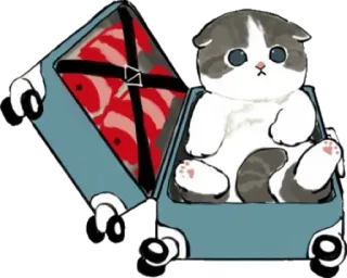🧰 cat, kitten, suitcase, pet, animal telegram sticker