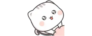 🤩 gatto, kawaii, carino, adesivo whatsapp sticker