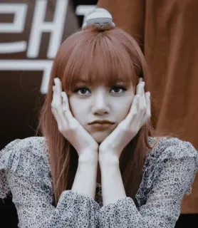 🥺 Lisa kpop, lisa, blackpink, chanteuse, idole, femme, célébrité telegram sticker