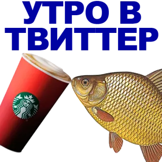 🐠 starbucks, café, poisson, carpe, boisson, café whatsapp sticker