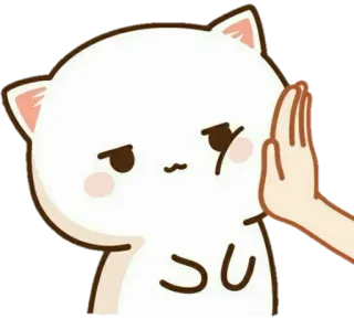 😐 kot, uderzenie, słodki, zwierzę, ręka, stop whatsapp sticker
