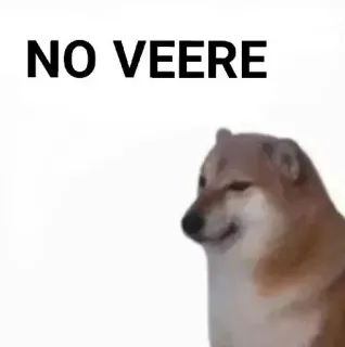 ✨ NO VEERE meme, dog, shiba inu, no veere, funny, text telegram sticker