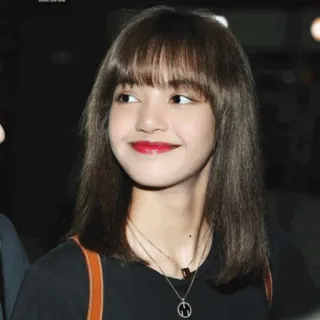 🌿 Lisa Лиса, Blackpink, K-pop, певица, айдол, женщина telegram sticker