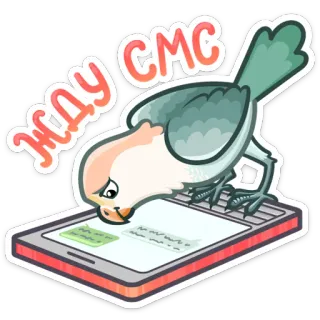 💌 ЖДУ СМС oiseau, attendre, SMS, téléphone, message, dessin animé whatsapp sticker