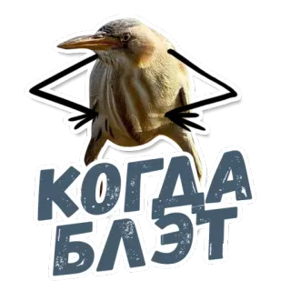 ТАК БЛЭТ @StikeryTG whatsapp stickers