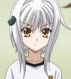 🥀 Koneko Toujou High School DxD Anime, Manga, Koneko Toujou, High School DxD, Pelo Blanco, Orejas de Gato telegram sticker