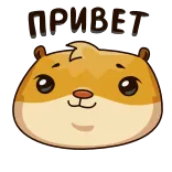 Senya Hamster @TgSticker telegram emojis 👋