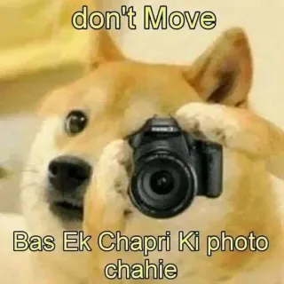 🌟 Doge Doge meme don't Move Bas Ek Chapri Ki photo chahie doge, meme, camera, photography, funny, dog, humor telegram sticker