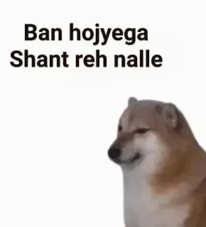 😶 Ban hojyega
Shant reh nalle 犬, ミーム, チー厶ス, インド, 面白い telegram sticker