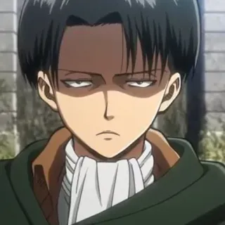 ✖️ Levi Ackerman Attack on Titan Levi, Attack on Titan, Anime, Manga, Charakter, Grummeln telegram sticker
