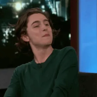 💎 Timothée Chalamet diễn viên, người nổi tiếng, đàn ông, chân dung telegram sticker