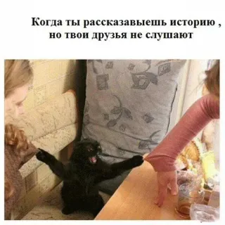 😡 Когда ты рассказываешь историю, но твои друзья не слушают cat, story, friends, meme, funny, russian telegram sticker