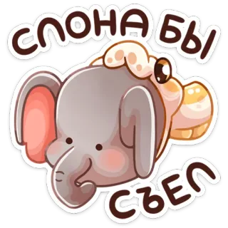 🐘 Слона бы съел Elefant, Tier, niedlich, Cartoon, russisch, Text, Sticker, Tier telegram sticker