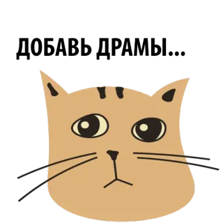 😐 gato, gatinho, animal de estimação, animal, fofo, adesivo telegram sticker
