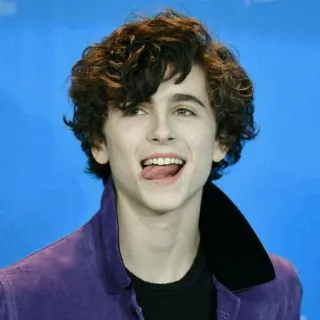 😋 Timothée Chalamet ator, celebridade, Timothée Chalamet, homem, retrato telegram sticker