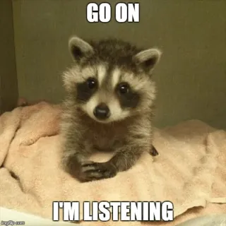 🤔 GO ON
I'M LISTENING mapache, animal, escuchando, meme, dale, lindo whatsapp sticker