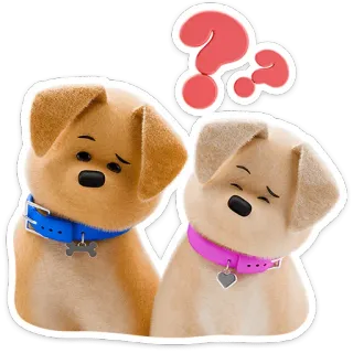🤨 강아지, 개, 귀여운, 동물, 애완 동물, 질문, 생각 telegram sticker