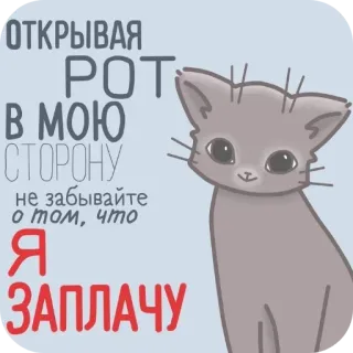 🐱 ОТКРЫВАЯ РОТ В МОЮ СТОРОНУ не забывайте о том, что Я ЗАПЛАЧУ 고양이, 스티커, 울음, 인용구, 동물 telegram sticker