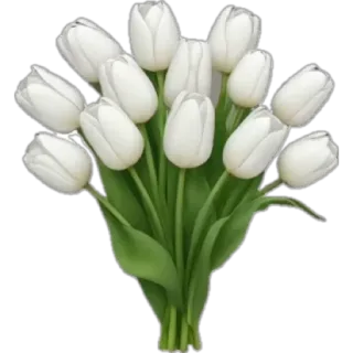 🌟 tulip, bunga, buket, bunga putih, floral, tanaman, alam whatsapp sticker