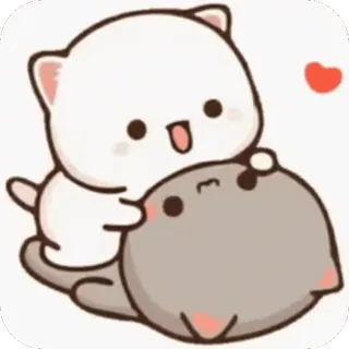 🤍 kot, kociak, słodki, miłość, serce, zwierzę telegram sticker