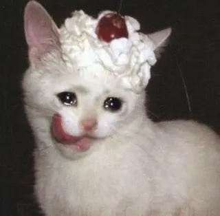 😩 gato, triste, llorando, postre, cereza, crema batida telegram sticker