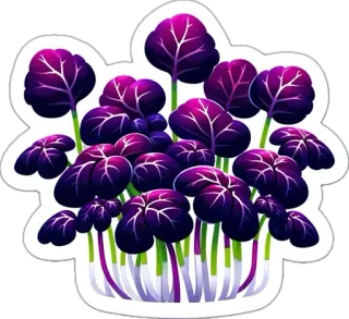 🌱 verdura, pianta, viola, cibo, microgreen di ravanello, biologico, agricoltura whatsapp sticker