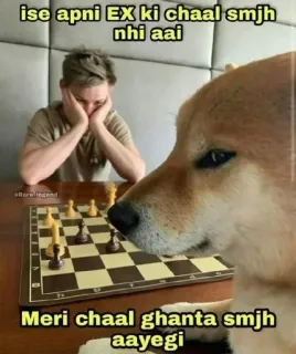 😂 ise apni EX ki chaal smjh nhi aai
Meri chaal ghanta smjh aayegi 犬, チェス, 面白い, ミーム telegram sticker